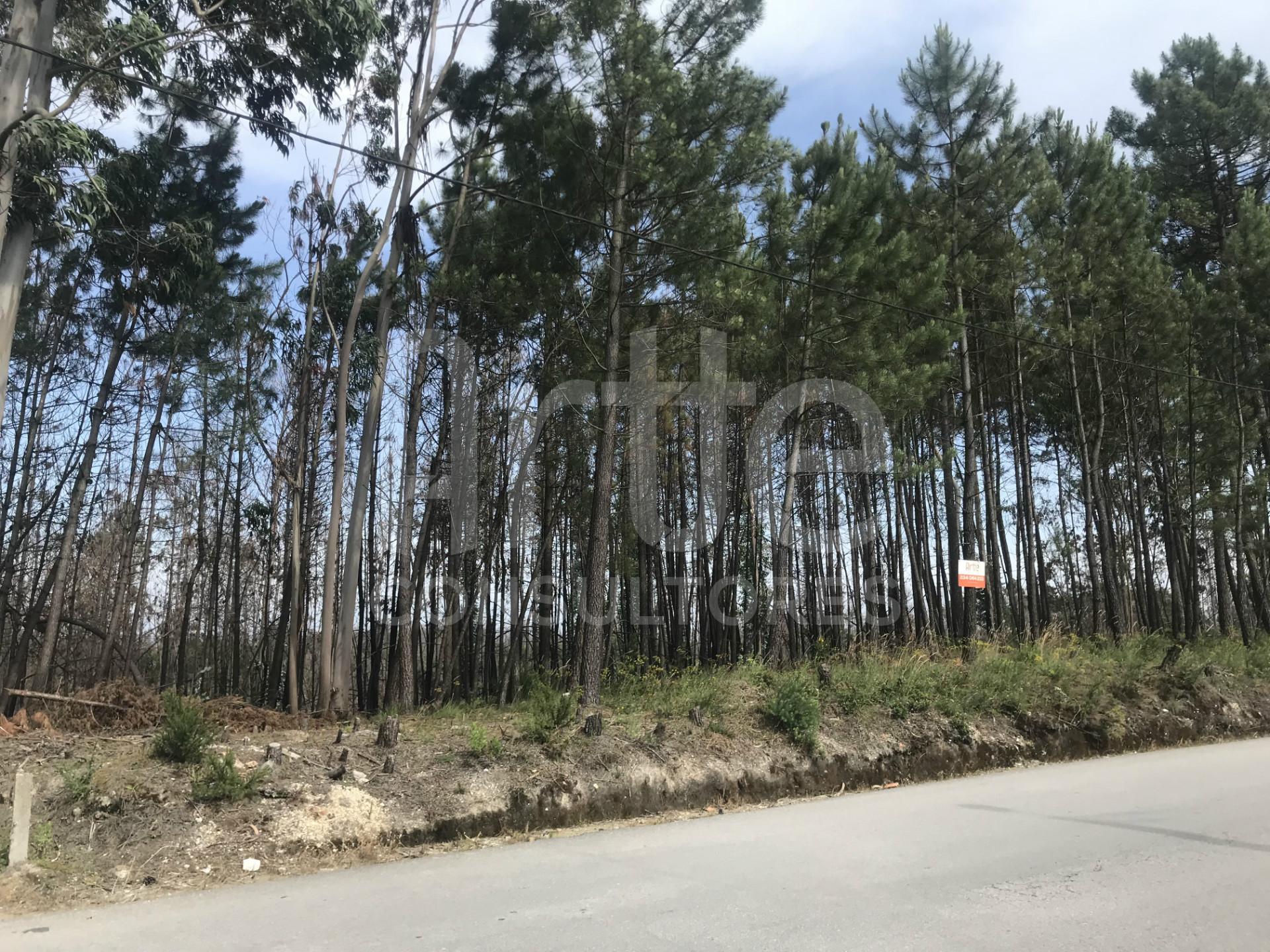 Terreno Urbano  Venda em Requeixo, Nossa Senhora de Fátima e Nariz,Aveiro