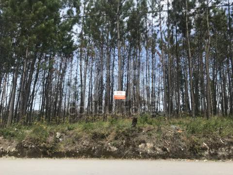 Terreno Urbano  Venda em Requeixo, Nossa Senhora de Fátima e Nariz,Aveiro