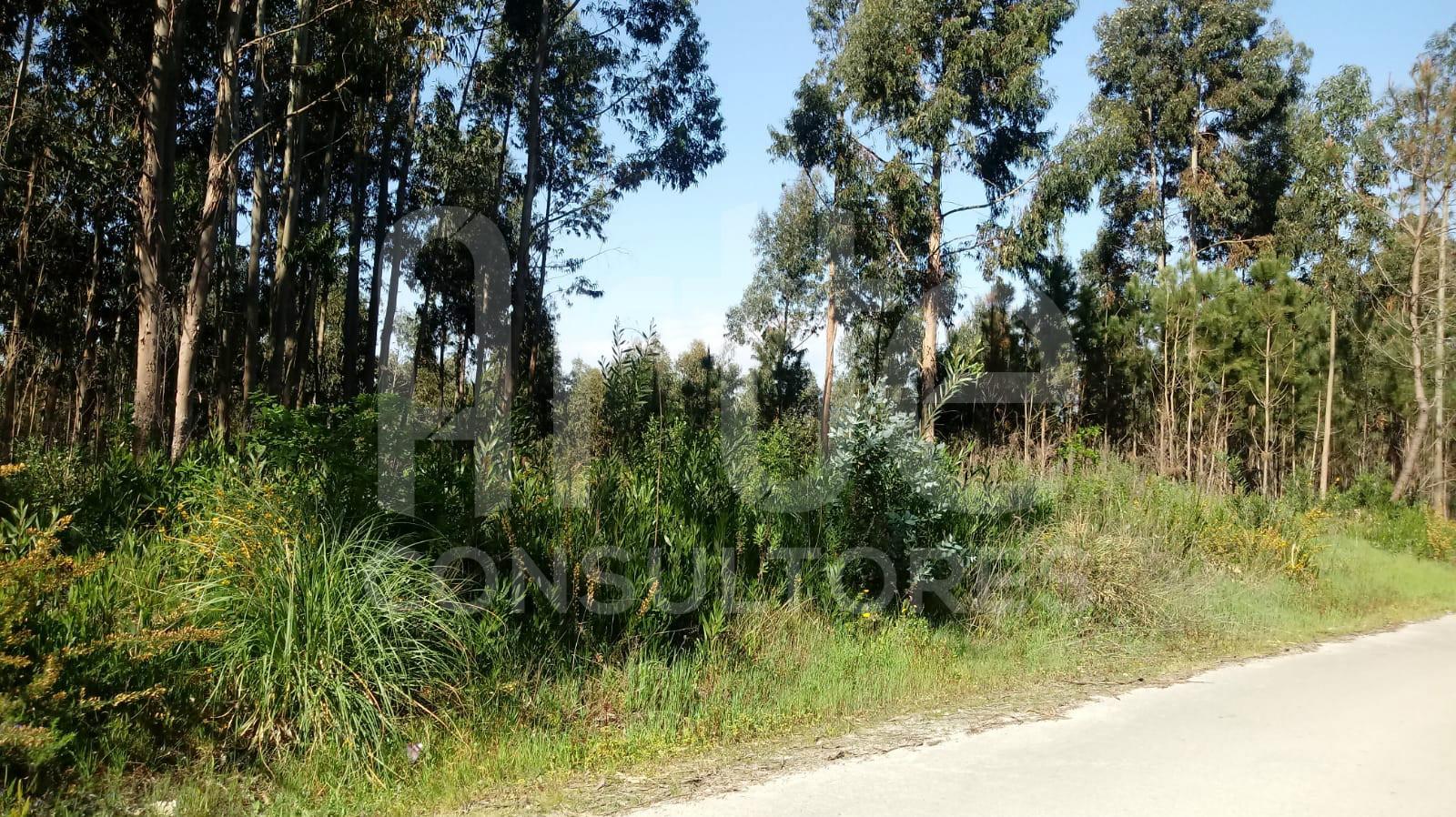 Terreno  Venda em Eixo e Eirol,Aveiro