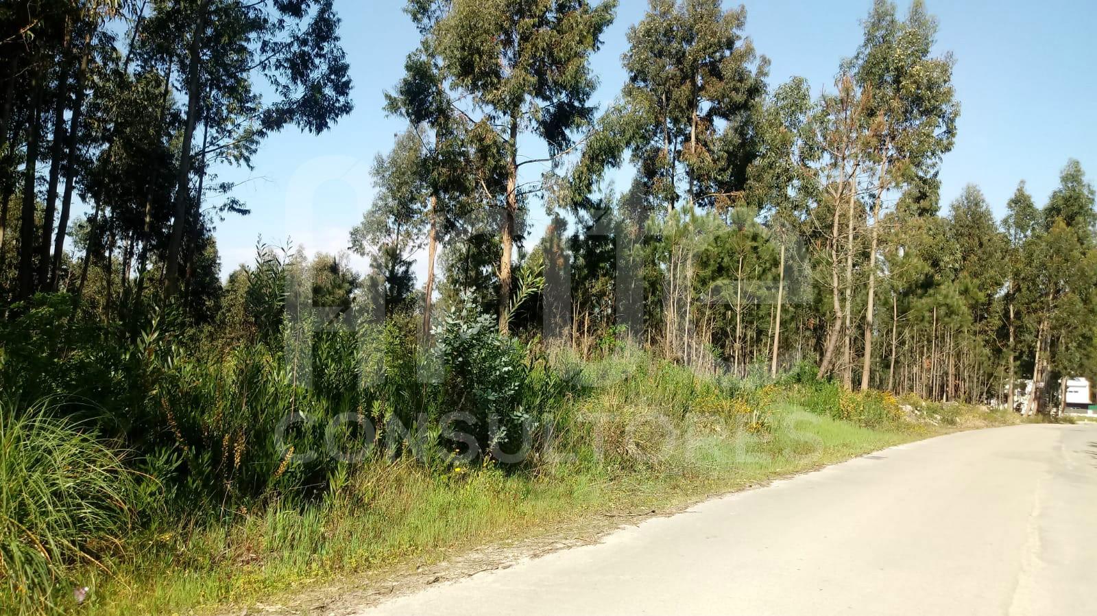 Terreno  Venda em Eixo e Eirol,Aveiro