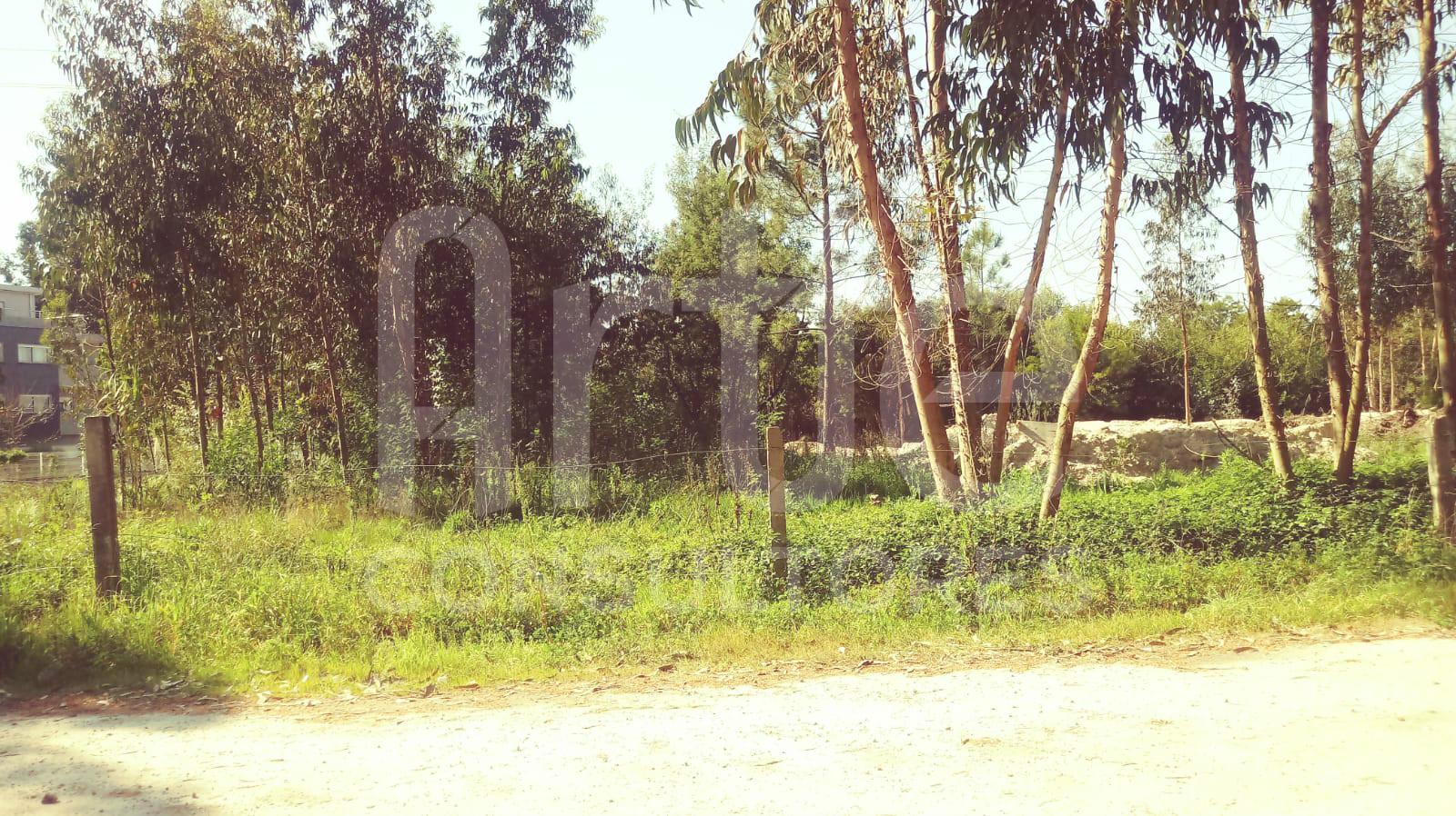 Terreno  Venda em Eixo e Eirol,Aveiro