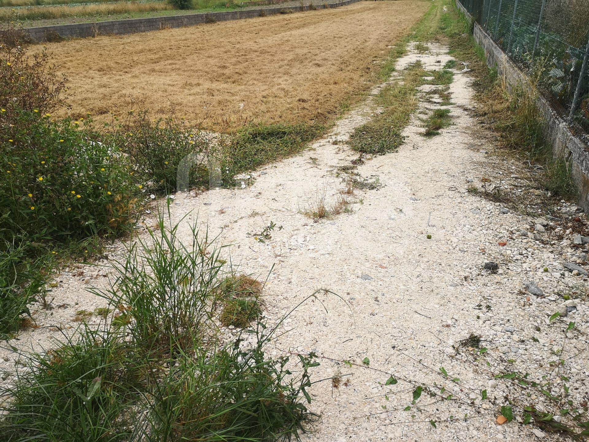 Terreno Para Construção  Venda em São Bernardo,Aveiro