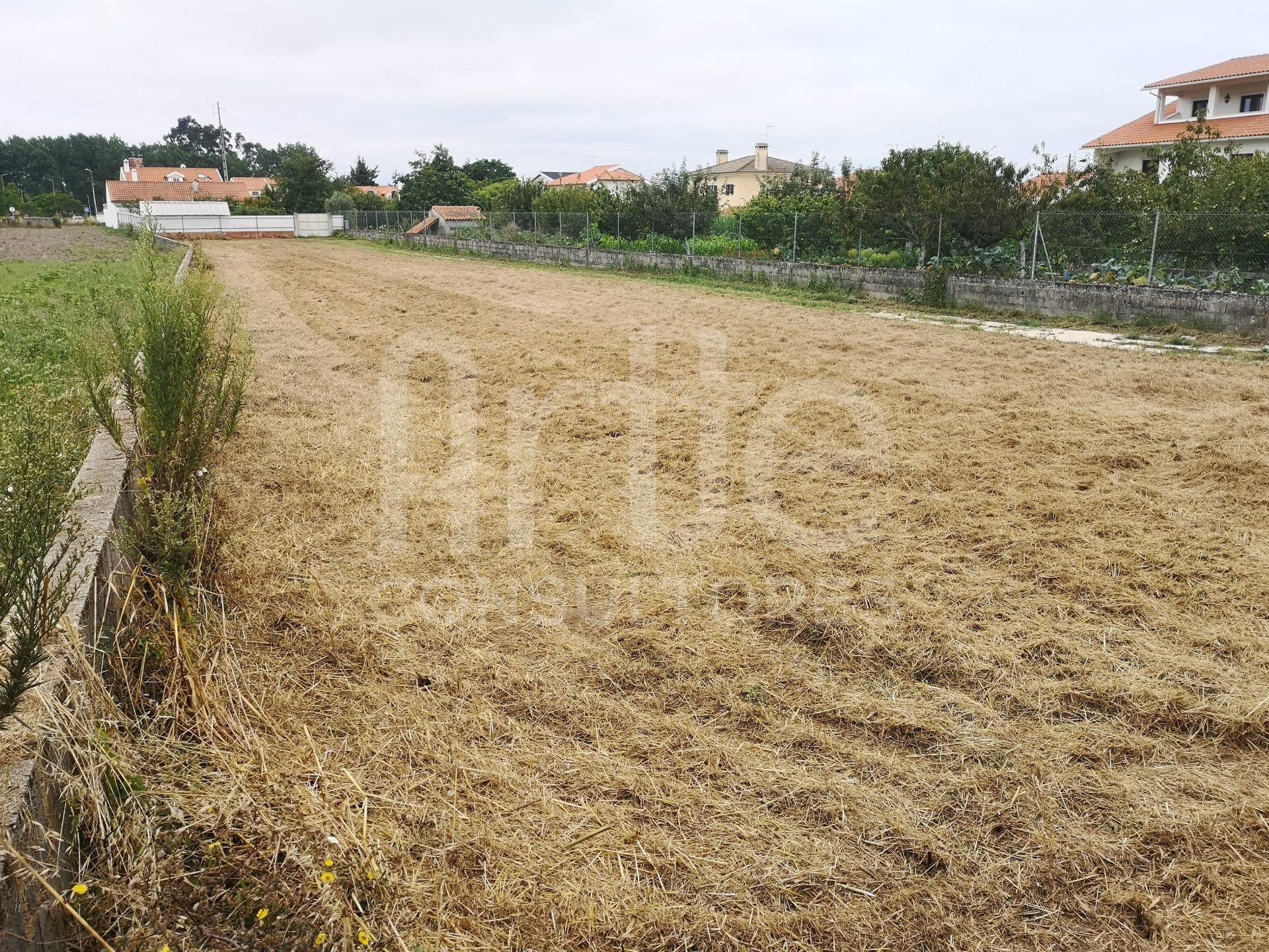 Terreno Para Construção  Venda em São Bernardo,Aveiro