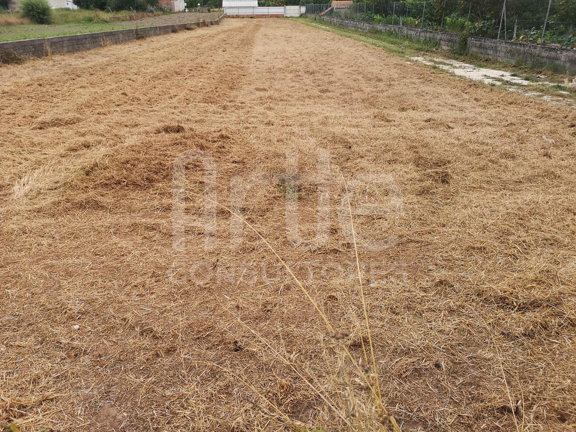 Terreno Para Construção  Venda em São Bernardo,Aveiro