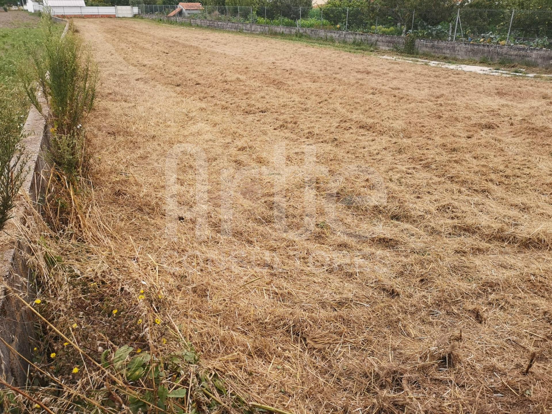 Terreno Para Construção  Venda em São Bernardo,Aveiro