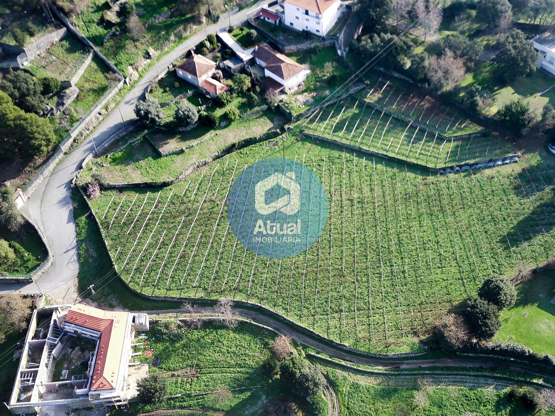 Terreno Rústico  Venda em Santo Tirso, Couto (Santa Cristina e São Miguel) e Burgães,Santo Tirso