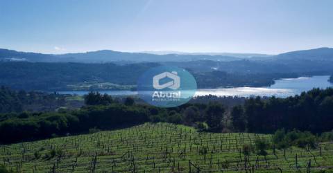 Quinta  Venda em Abragão,Penafiel