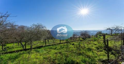 Quinta  Venda em Abragão,Penafiel