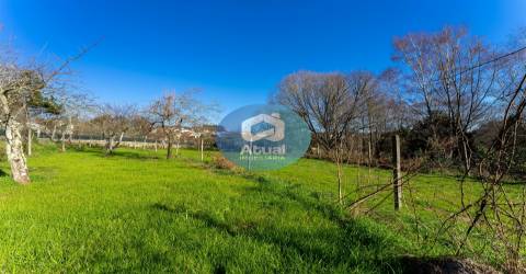 Quinta  Venda em Abragão,Penafiel