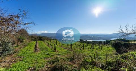 Quinta  Venda em Abragão,Penafiel