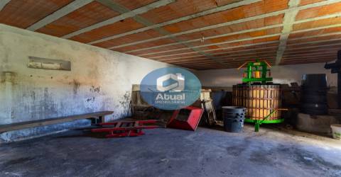 Quinta  Venda em Abragão,Penafiel