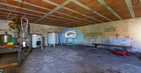 Quinta  Venda em Abragão,Penafiel