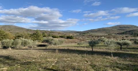 Terreno rústico com viabilidade de construção