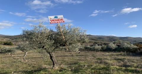 Terreno rústico com viabilidade de construção