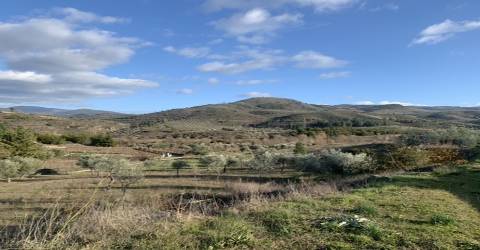 Terreno rústico com viabilidade de construção