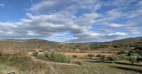 Terreno rústico com viabilidade de construção