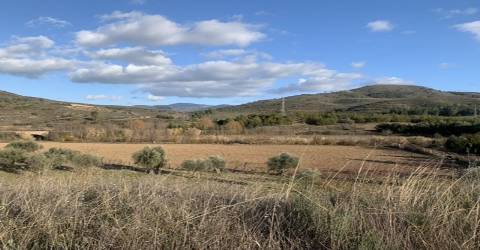 Terreno rústico com viabilidade de construção
