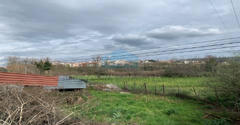 Terreno Agricola para Venda na cidade de Mirandela