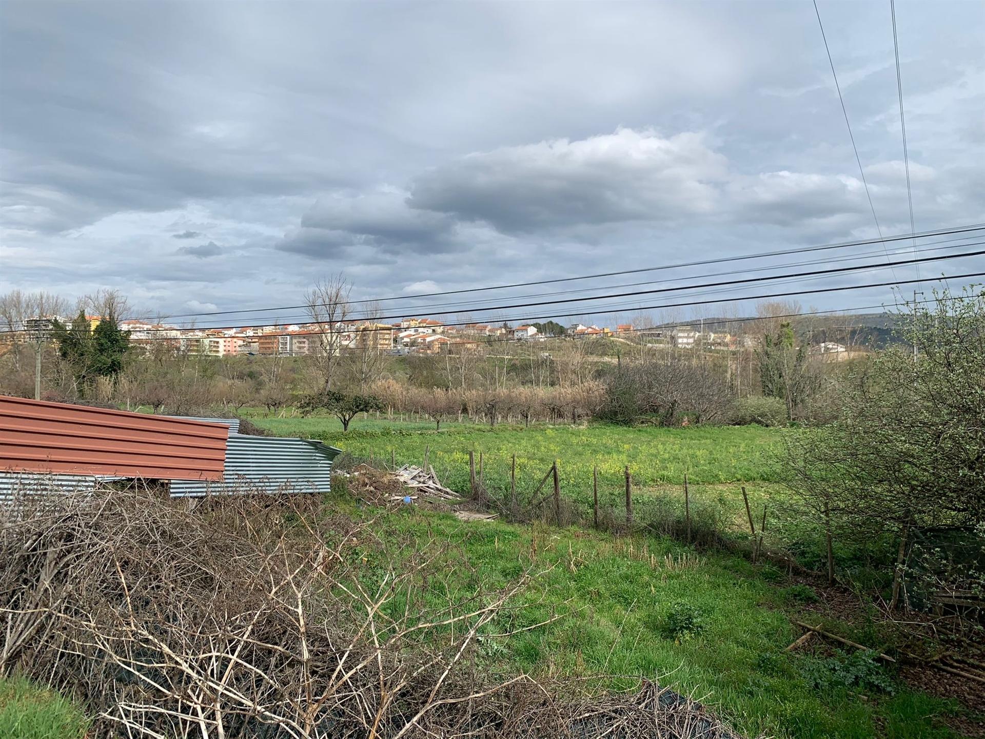 Terreno Agricola para Venda na cidade de Mirandela