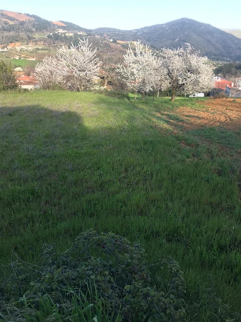 Terreno para Venda em Vinhais