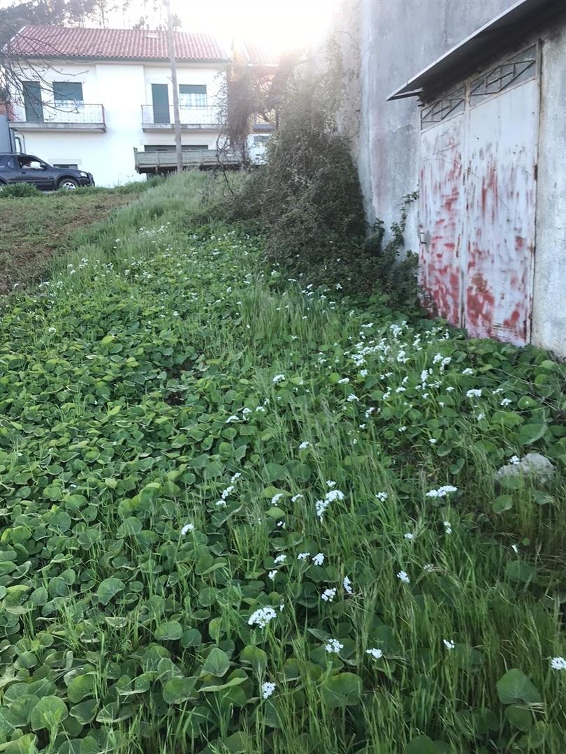 Terreno para Venda em Vinhais