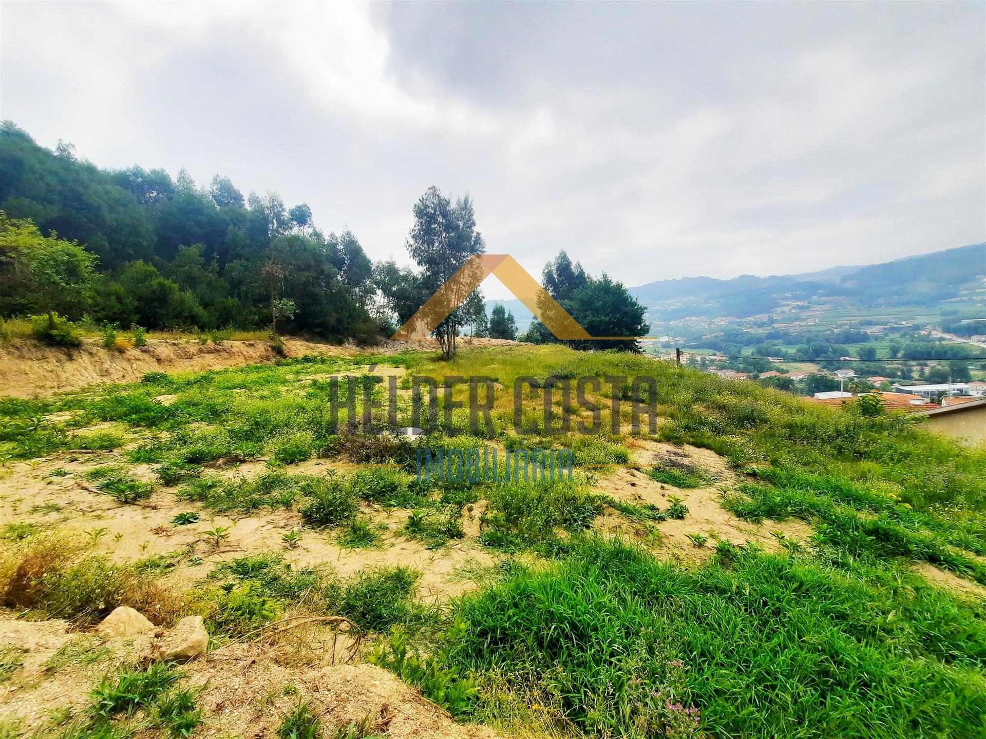 Terreno Rústico  Venda em Tagilde e Vizela (São Paio),Vizela