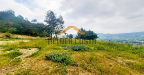 Terreno Rústico  Venda em Tagilde e Vizela (São Paio),Vizela