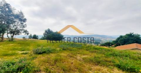 Terreno Rústico  Venda em Tagilde e Vizela (São Paio),Vizela