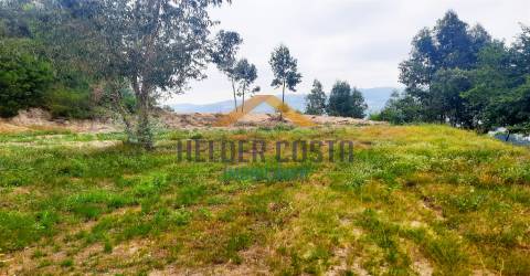 Terreno Rústico  Venda em Tagilde e Vizela (São Paio),Vizela