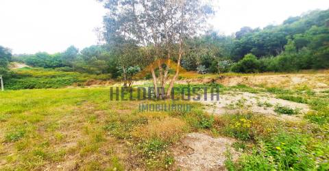 Terreno Rústico  Venda em Tagilde e Vizela (São Paio),Vizela