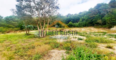 Terreno Rústico  Venda em Tagilde e Vizela (São Paio),Vizela