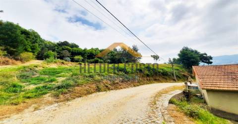 Terreno Rústico  Venda em Tagilde e Vizela (São Paio),Vizela