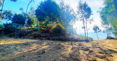 Terreno Rústico  Venda em Tagilde e Vizela (São Paio),Vizela
