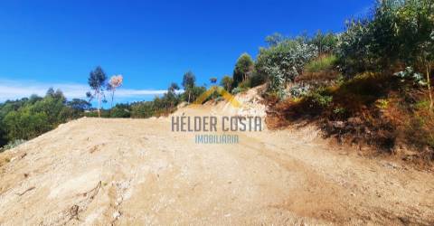Terreno Rústico  Venda em Tagilde e Vizela (São Paio),Vizela