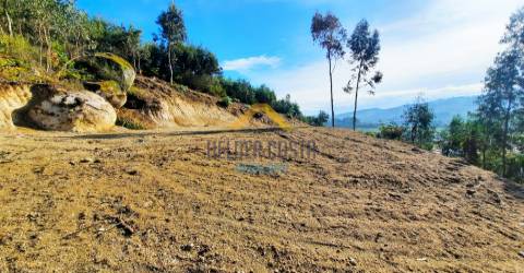 Terreno Rústico  Venda em Tagilde e Vizela (São Paio),Vizela