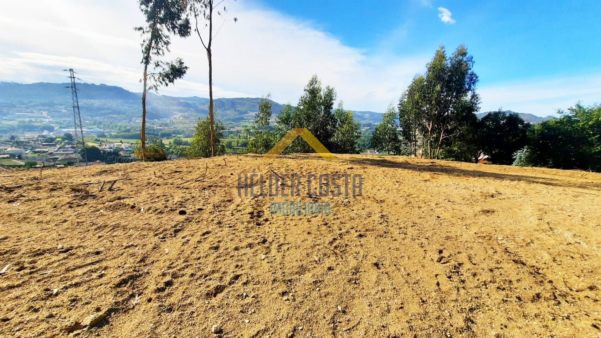 Terreno Rústico  Venda em Tagilde e Vizela (São Paio),Vizela