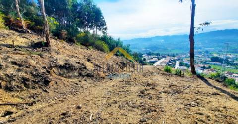 Terreno Rústico  Venda em Tagilde e Vizela (São Paio),Vizela