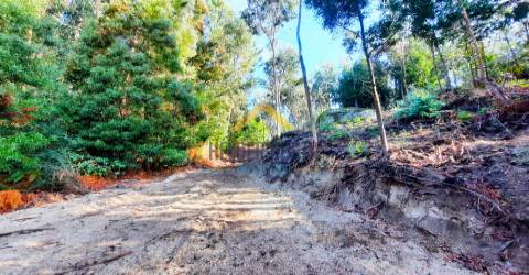 Terreno Rústico  Venda em Tagilde e Vizela (São Paio),Vizela