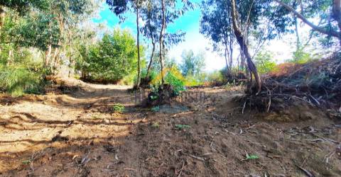 Terreno Rústico  Venda em Tagilde e Vizela (São Paio),Vizela