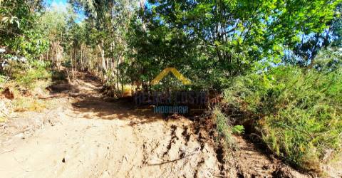 Terreno Rústico  Venda em Tagilde e Vizela (São Paio),Vizela
