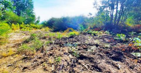 Terreno Rústico  Venda em Tagilde e Vizela (São Paio),Vizela