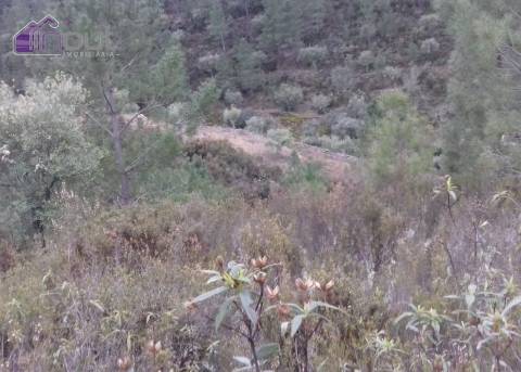 Quinta  Venda em Fratel,Vila Velha de Rodão