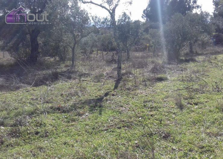 Quinta T1 Venda em Póvoa de Rio de Moinhos e Cafede,Castelo Branco