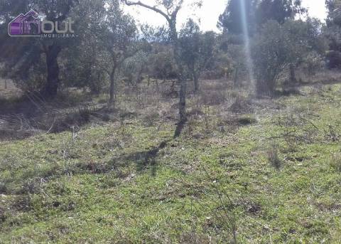 Quinta T1 Venda em Póvoa de Rio de Moinhos e Cafede,Castelo Branco