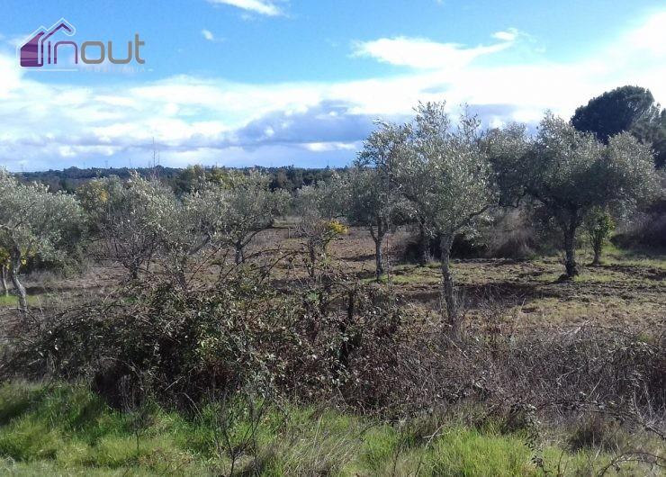 Quinta T1 Venda em Póvoa de Rio de Moinhos e Cafede,Castelo Branco