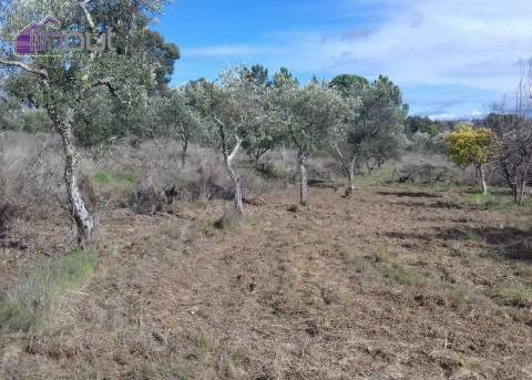 Quinta T1 Venda em Póvoa de Rio de Moinhos e Cafede,Castelo Branco