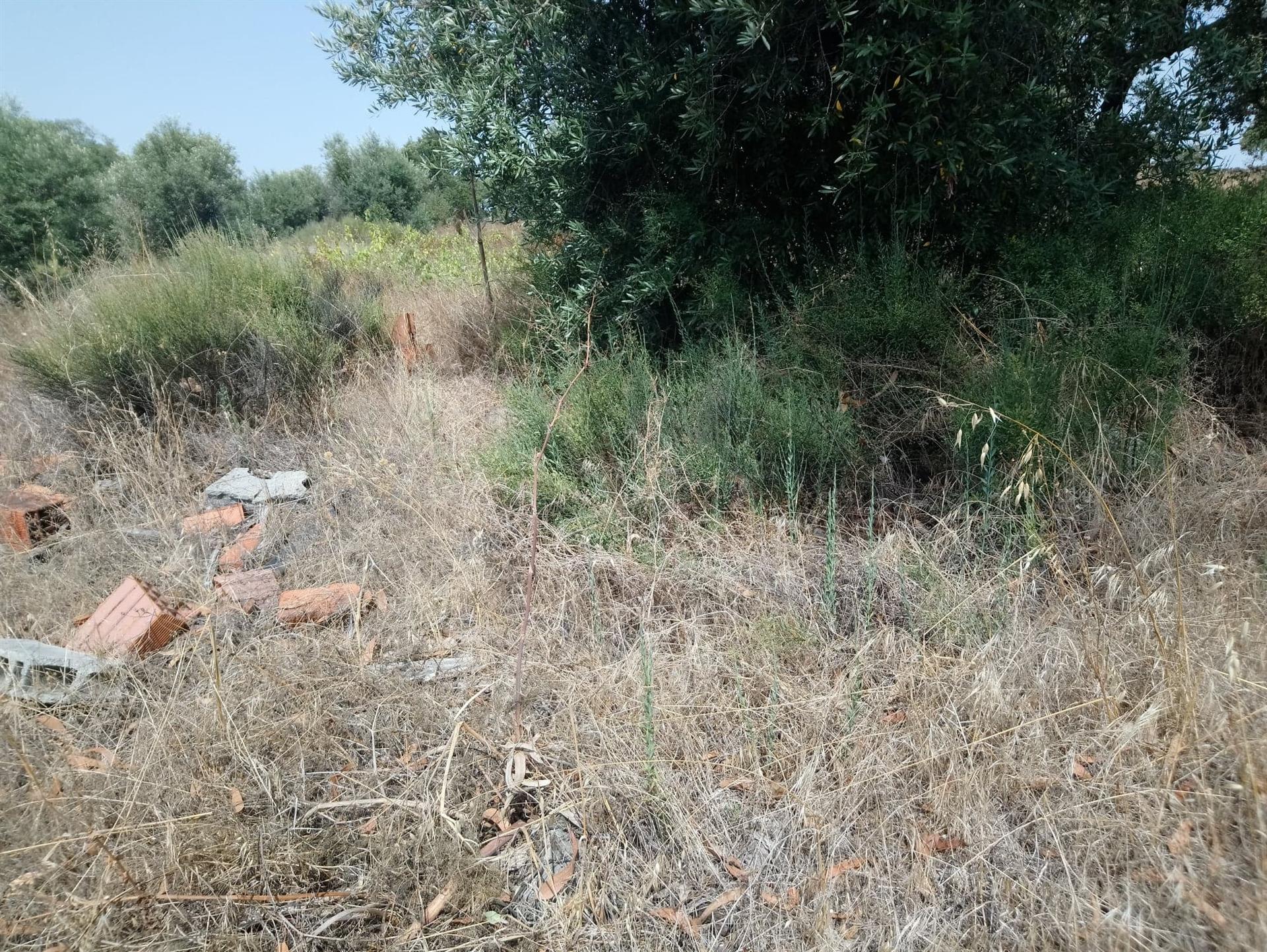 Terreno Rústico  Venda em Escalos de Cima e Lousa,Castelo Branco