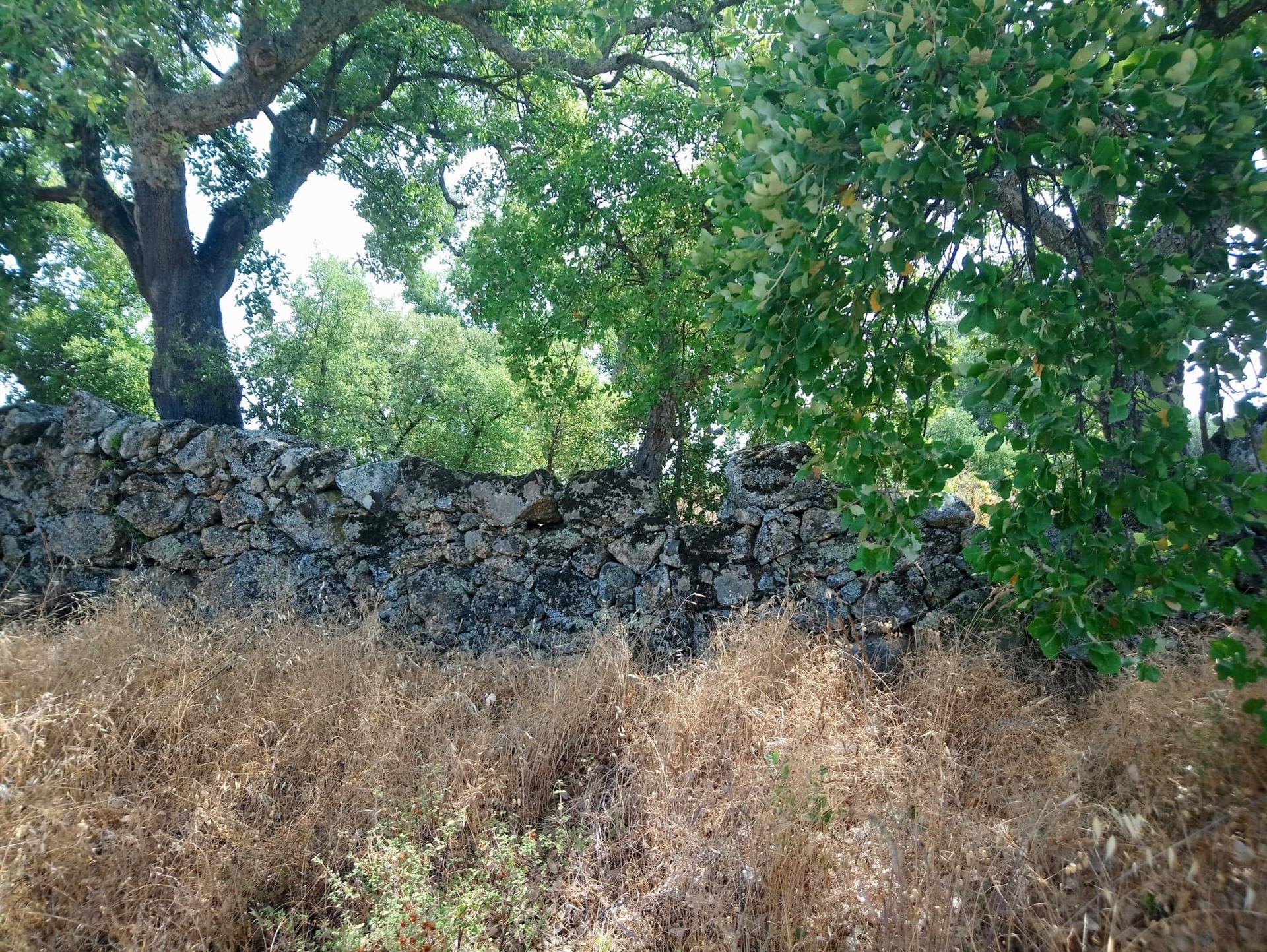 Terreno Rústico  Venda em Escalos de Cima e Lousa,Castelo Branco