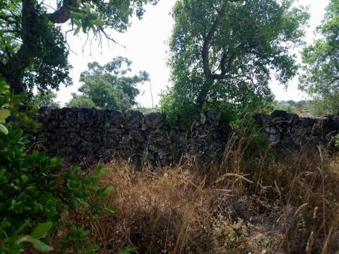 Terreno Rústico  Venda em Escalos de Cima e Lousa,Castelo Branco