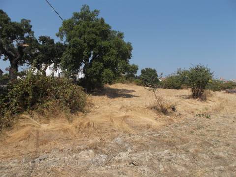 Terreno  Venda em Castelo Branco,Castelo Branco
